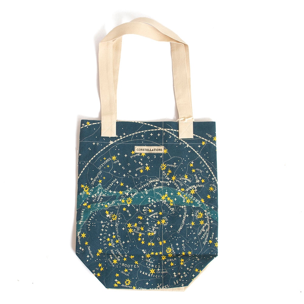 Cavallini, Pencil Pouch, Art & School, Canvas, Celestial, 376267